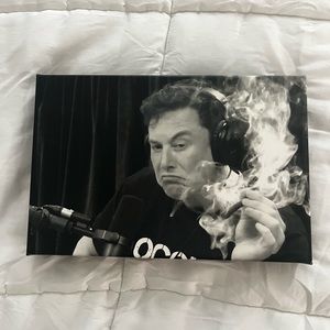 Elon musk Joe Rogan photo
